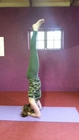 Salamba Sirsasana.  Salamba = with support, Sirsa = the head.  One of the most important yoga poses.  Mastery gives one balance and poise, both physically and mentally.