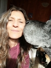 A kiss from a rose - my Great Dane - Teemo