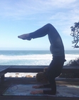 Vrischikasana -  Scorpian pose
